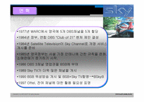 BSkyB 다각화전략-5