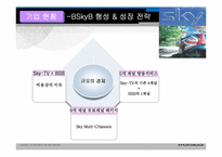 BSkyB 다각화전략-6