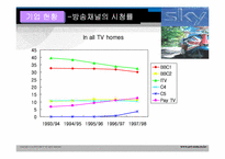BSkyB 다각화전략-8