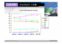 BSkyB 다각화전략-9