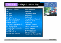 BSkyB 다각화전략-10