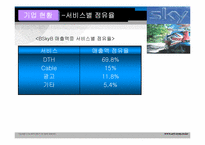 BSkyB 다각화전략-11