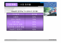 BSkyB 다각화전략-12
