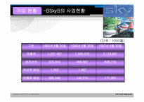 BSkyB 다각화전략-13