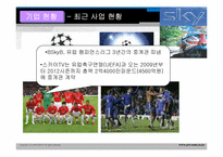 BSkyB 다각화전략-14