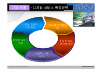 BSkyB 다각화전략-15