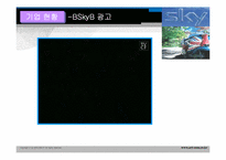 BSkyB 다각화전략-17