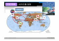 BSkyB 다각화전략-18