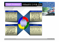 BSkyB 다각화전략-20