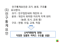 [관광심리학] 8장 관광소비자행동의 환경적요인-3