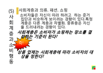 [관광심리학] 8장 관광소비자행동의 환경적요인-17