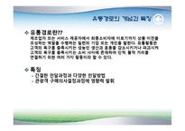 [유통관리론] 관광 여행상품 유통구조-6