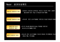 Nucor 경영전략 레포트-15