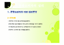 [관광심리학] 제 2장 관광소비자의 이해-19