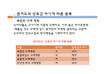 [관광심리학] 제 5장 관광소비자 의사결정-7