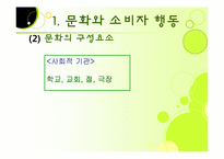 [관광심리] 제 7장 관광소비자행동의 환경적 요인-12