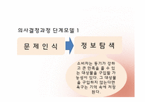 [관광심리학] 제 5장. 관광소비자 의사결정-12