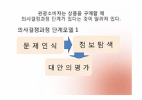 [관광심리학] 제 5장. 관광소비자 의사결정-13
