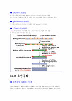 [유전자기술] 16.1 DNA 조작과 유전자 클론-4