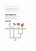 [생물학] 균류 레포트-2