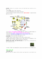 [생물학] 28.식물의 다양성-2