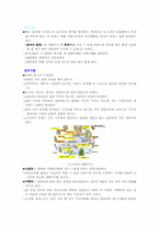 [생물학] 28.식물의 다양성-4