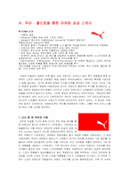 스포츠용품마케팅-12