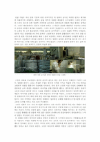 파이트 클럽 영화분석-5