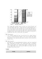 [스포츠마케팅] 경마의 새로운 도약을 위한 마케팅 전략-8