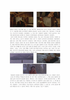 소설과 영화 러브레터 분석-13