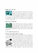 `시카고` 영화 속 언론-3