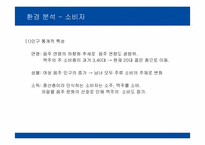 카스 CASS 광고기획서-7