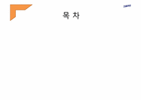 삼양라면 광고기획서-3