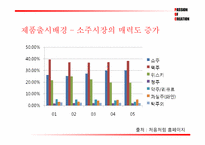 처음처럼 광고기획서-6