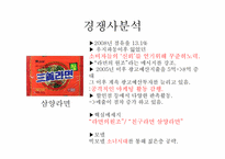 농심 신라면 광고기획서-8
