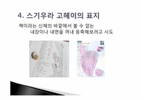 [디자인] 스기우라 고헤이의 디자인관-7