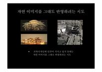 프랭크 게리 건축 철학과 디자인-8