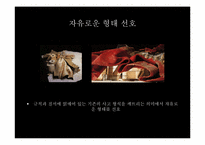 프랭크 게리 건축 철학과 디자인-9
