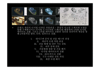 프랭크 게리 건축 철학과 디자인-11