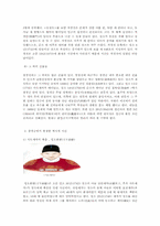 창경궁 레포트-6
