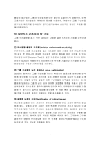 정보시스템 DSS, GDSS, ES 에 대해서-8