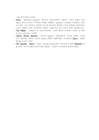 20세기 영미소설 20세기 영미소설-5