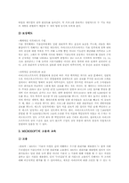 [미국글로벌기업][다국적기업]미국 글로벌기업 포드(FORD), 미국 글로벌기업 3M, 미국 글로벌기업 모토로라, 미국 글로벌기업 마이크로소프트(MS), 미국 글로벌기업 인텔(INTEL), 미국 글로벌기업 나이키(NIKE) 분석-11