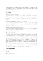 [라틴아메리카]중남미국가 벨리즈, 중남미국가 브라질, 중남미국가 멕시코, 중남미국가 페루, 중남미국가 아르헨티나, 중남미국가 칠레, 중남미국가 과테말라, 중남미국가 베네수엘라, 중남미국가 코스타리카 분석-11