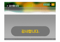 [기업분석] 현대백화점 기업분석 PPT-14