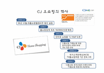 [컨설팅방법론] 정보전략계획(ISP)(CJ오쇼핑중심으로)-4
