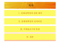 [동양정치사상] 문화대혁명과 이데올로기의 혼란-2