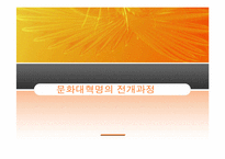 [동양정치사상] 문화대혁명과 이데올로기의 혼란-11
