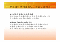 [동양정치사상] 문화대혁명과 이데올로기의 혼란-12