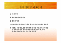 [동양정치사상] 문화대혁명과 이데올로기의 혼란-14